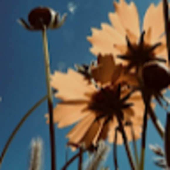 Meet your Posher, Haley - Picture 1 of 1